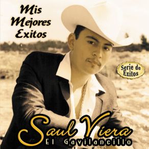 Download track Guadalupe Rayos Saul Viera 