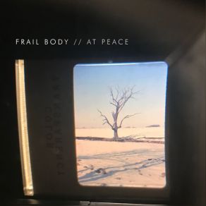 Download track Cold New Home Frail Body