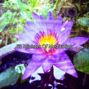 Download track Nourish Calm Asian Zen Spa Music Meditation