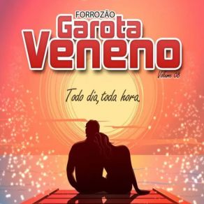 Download track Sem Você Não Sou Ninguém Forrozão Garota Veneno