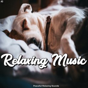 Download track Minimizing The Chronic Stress Of Daily Life Relax My Dog Music