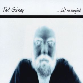 Download track Goodbye Dear Ted Gainey