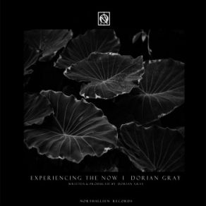 Download track Across The Natural System (Original Mix) Dorian Gray