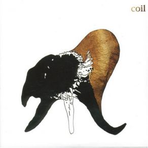 Download track Black Antlers (Where's Your Child?) Coil