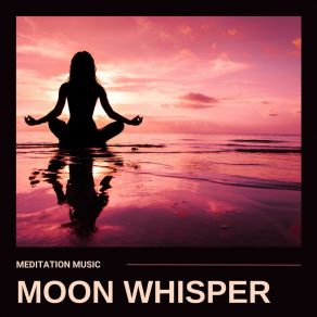 Download track Misty Mangrove Swamp Meditation Music