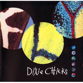 Download track Hole In My Head Dixie Chicks