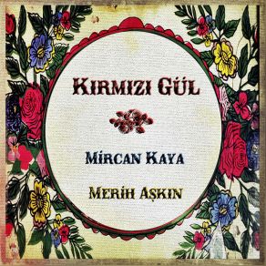 Download track Gül Kuruttum Mircan Kaya, Merih Aşkın