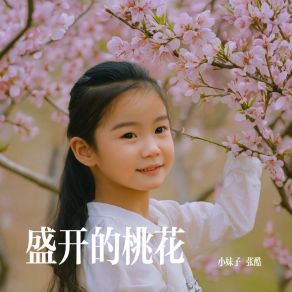 Download track 盛开的桃花 (伴奏) 张酷