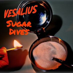 Download track Scallop Vesalius