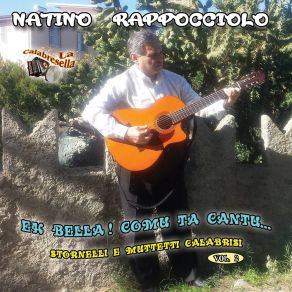 Download track Bella Bandera Mia Natino Rappocciolo