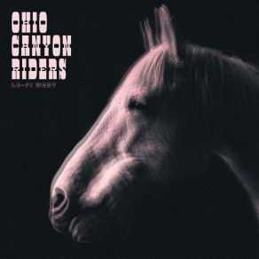 Download track The Canyon Ohio Canyon Riders