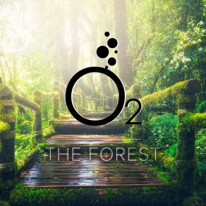 Download track The Forest (Original Mix) O2