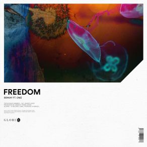 Download track Freedom (Extended Mix) Omz