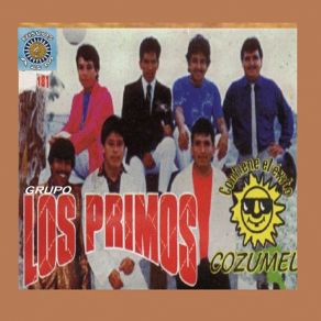 Download track El Dueño De Tu Amor Los Primos