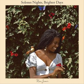 Download track Solemn Nights, Brighter Days Noa JamirJb Saax Band