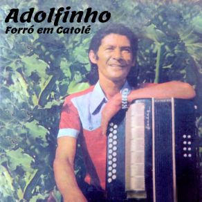 Download track Indo E Voltando Adolfinho