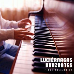 Download track Música De Piano Para Concentración Relajación