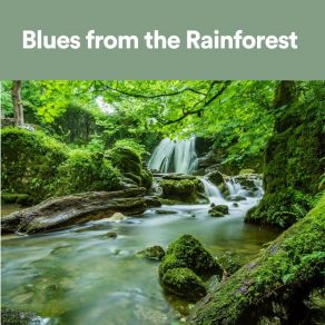 Download track Rainstorms Rainforest Sounds