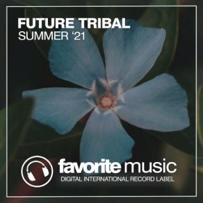 Download track Tribal Groove (Dub Mix) Ibiza Pirates