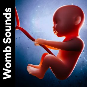 Download track Sleep Better At Night Sounds, Pt. 11 White Noise Relaxation For Sleeping Babies