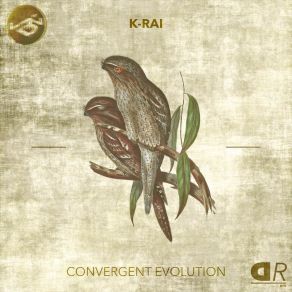 Download track Gamelan K-Rai