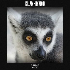 Download track Hyaloid Killam