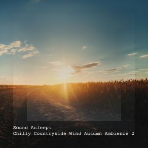 Download track Chilly Countryside Wind Autumn Ambience, Pt. 16 Elijah Wagner