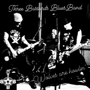 Download track Don`t Worry Bout Nuthin` Three Bastards BluesBand