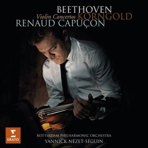 Download track Violin Concerto In D Major, Op. 35: II. Romance - Andante Renaud Capuçon