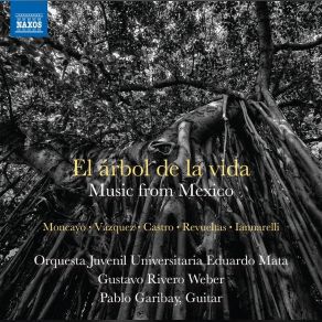 Download track La Noche De Los Mayas: IV. Noches De Encantamiento Gustavo Rivero Weber, Orquesta Juvenil Universitaria Eduardo Mata