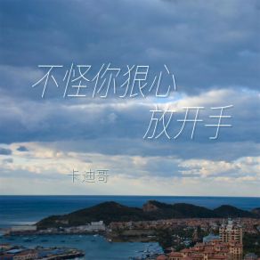 Download track 不怪你狠心放开手 (伴奏) 卡迪哥