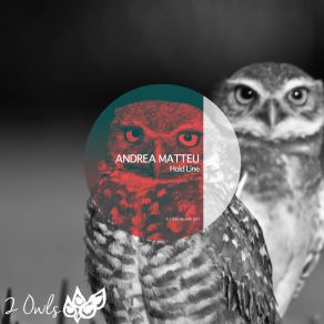 Download track Horn Tweeter Andrea Matteu