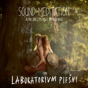 Download track Indian's Dream Laboratorium Pieśni