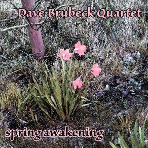 Download track How High The Moon The Dave Brubeck Quartet