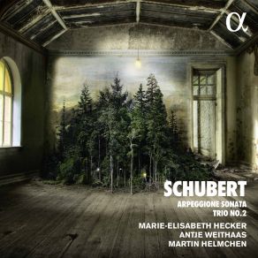 Download track Piano Trio No. 2 In E-Flat Major, Op. 100, D. 929: III. Scherzando. Allegro Moderato Antje Weithaas, Martin Helmchen, Marie-Elisabeth Hecker