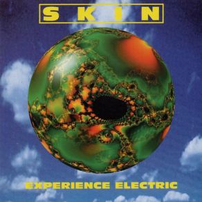 Download track Experience Electric Skin, Neville MacDonald