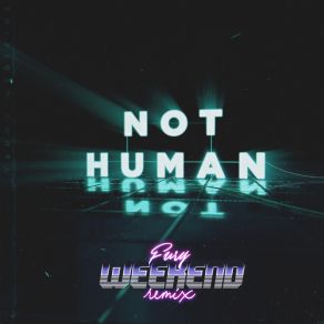 Download track Not Human (Instrumental; Fury Weekend Remix) Young MedicineΟΡΓΑΝΙΚΟ, Fury Weekend