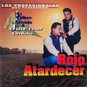 Download track La Desentendida Los Profesionales Del Vallenato