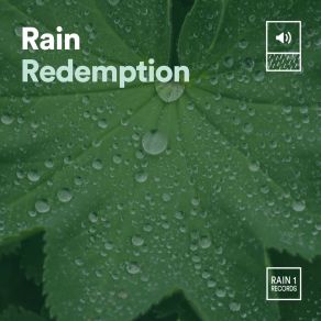 Download track Rain Redemption, Pt. 29 Rainfall