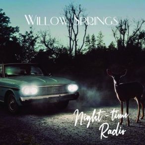 Download track I'll See You Somewhere Down The Road Willow Springs