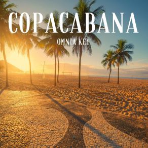 Download track Brazilian Cola Omnia Key