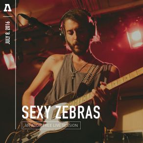 Download track La Máquina (Audiotree Live Version) Sexy Zebras