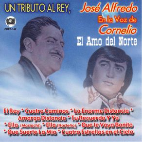 Download track Cuatro Estrellas En El Cielo Cornelio Reyna