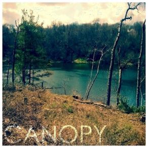 Download track Solitude Canopy