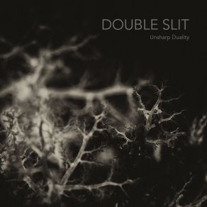 Download track Broglie Double Slit