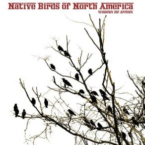 Download track Clemency Native Birds Of North America