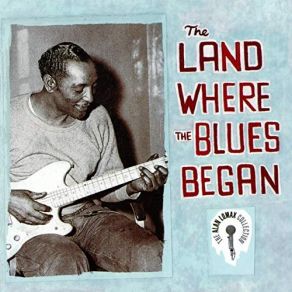 Download track Black, Brown And White Big Bill Broonzy