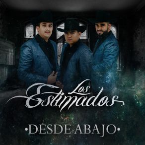 Download track Dueña De Mi Vida Los Estimados