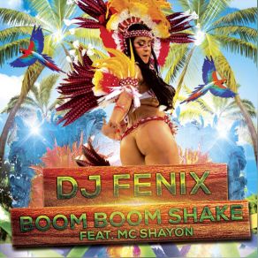 Download track Boom Boom Shake DJ FenixMc Shayon