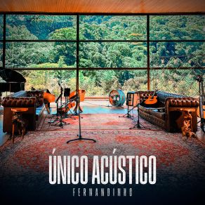 Download track Único (Acústico) FERNANDINHO